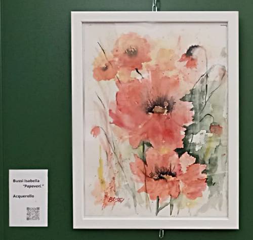 Quadro Papaveri di Bussi Isabella